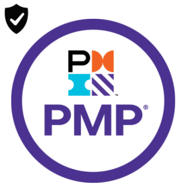 Project Management Professional - Training & Exam
